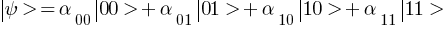 delim{|}{psi}{}> = alpha_00 delim{|}{00}{}> + alpha_01 delim{|}{01}{}> + alpha_10 delim{|}{10}{}> + alpha_11 delim{|}{11}{}>