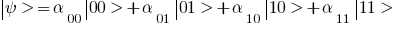 delim{|}{psi}{}> = alpha_00 delim{|}{00}{}> + alpha_01 delim{|}{01}{}> + alpha_10 delim{|}{10}{}> + alpha_11 delim{|}{11}{}>